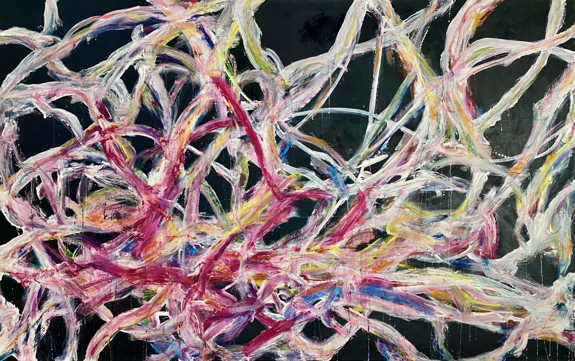 hyphae